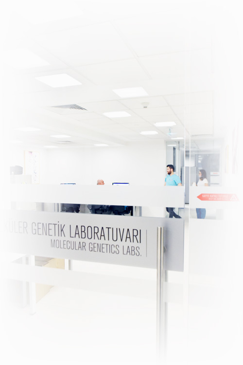 heliks-molekuler-genetik-lab heliks-molekuler-genetik-lab